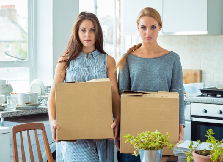 What is a flatmate or housemate? - flatmate.com blog