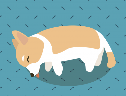 drawing of a puppy